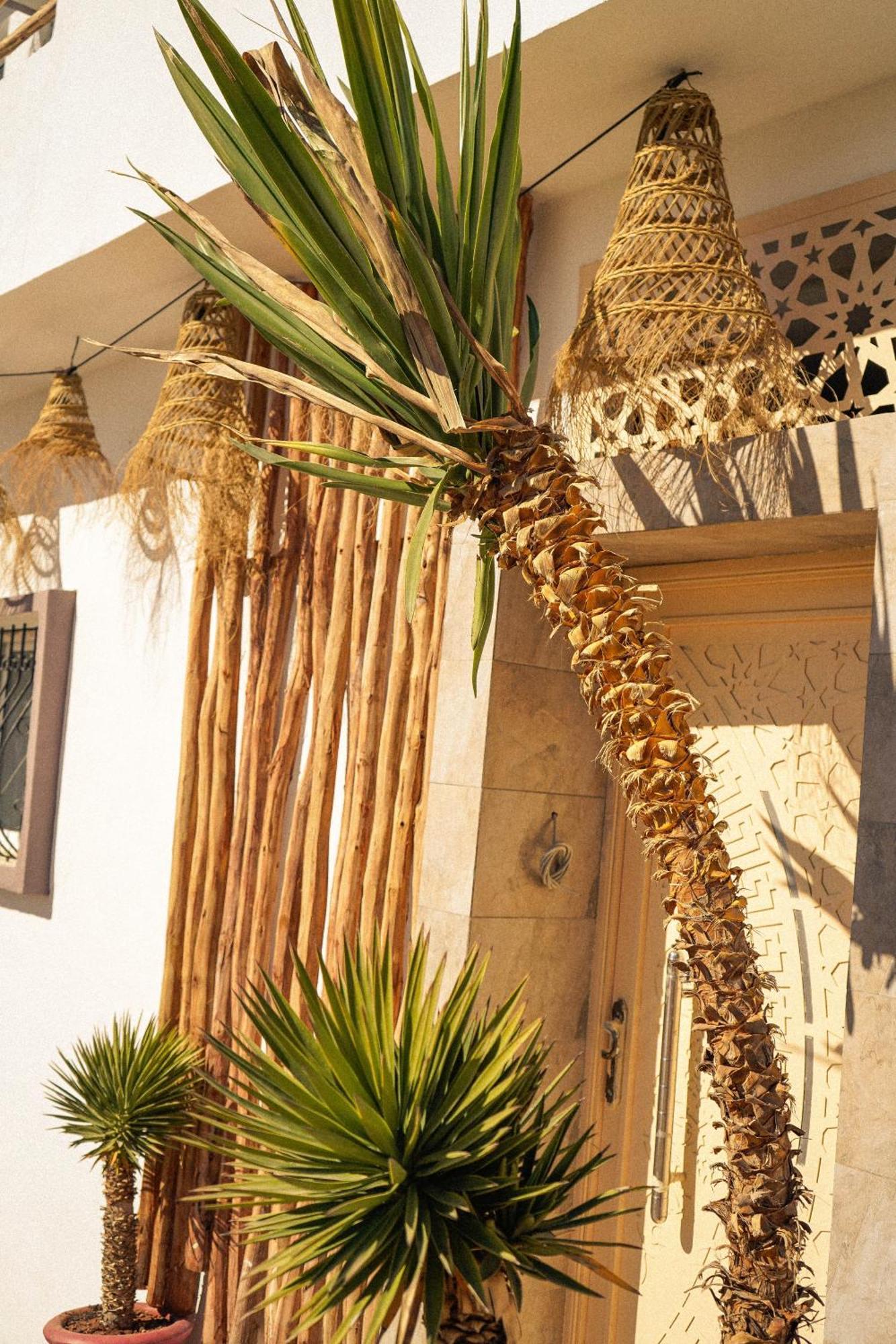 Tamraght Wild Surf Morocco B&B 외부 사진